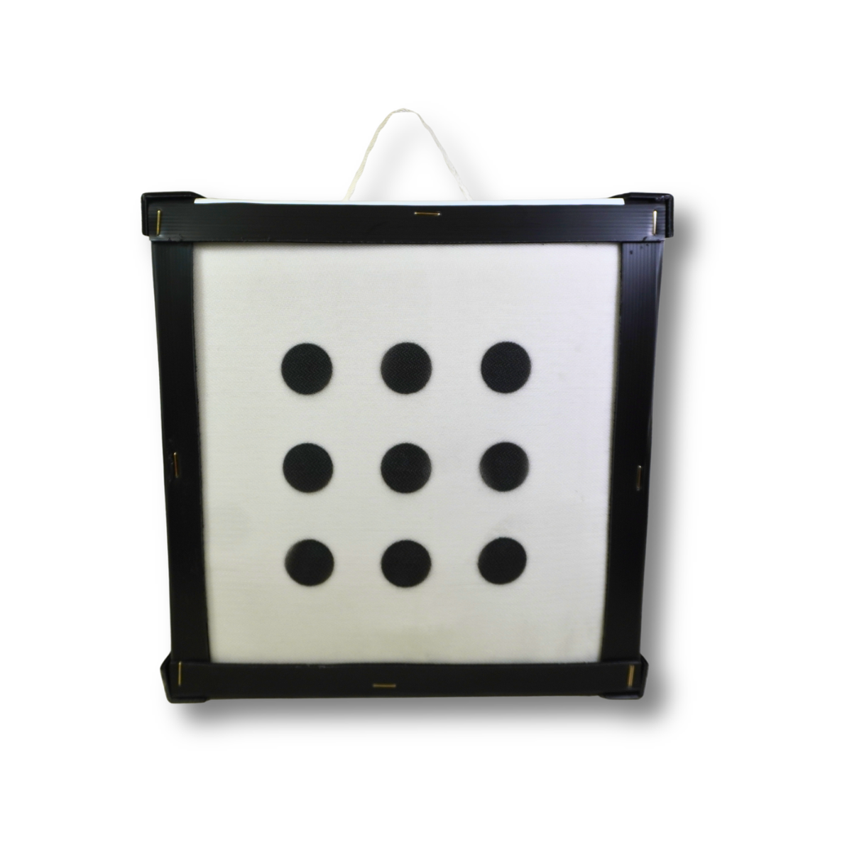 Bag Target
